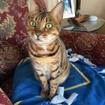 Dawn Akins-Hicks - @dakinshicks - Instagram