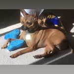 Dawn Aldridge - @dawnyval - Instagram