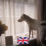 Dawn Appleby - Facebook
