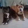Dawn Appleby - @dawn.appleby - TikTok