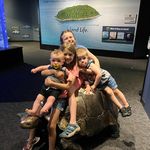 Dawn Arnett Schaffer - @schaffer2459 - Instagram