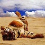 Dawn Ashby - @ashby.dawn - Instagram
