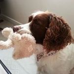 Dawn Ashby - @dawnashby59 - Instagram