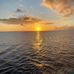 Dawn Atkins - Facebook