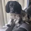 Dawn Atkins - @dawn.atkins8 - TikTok