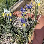 Dawn Atkins - @dawn.atkins.92102 - Instagram