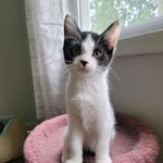 Dawn Bacon - @mrsbaconbooknerd - Instagram