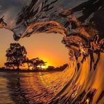 Dawn Barkley - @barkley5871 - Instagram