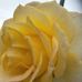 Dawn Barr - Facebook