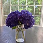 Dawn Barr - @dawnm0426 - Instagram