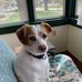 Dawn Barr - Facebook