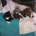 Dawn Barrows - Facebook