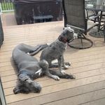 Dawn Barry - @dawn.barry.9465 - Instagram