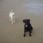 Dawn Barwick - Facebook