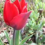 Dawn Beal - @dawn.beal81 - Instagram