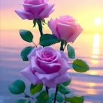 Dawn R Becerra - Facebook