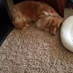 Dawn Behm - @behmdawn - Instagram
