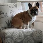 Dawn Cannoli Powell-Bewley - @dawnfpowell - Instagram