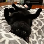 Dawn Proksel Biggs - @dawnlbiggs - Instagram