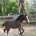 Dawn Billings - Facebook