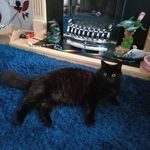Dawn Billington - @dawnbillington1 - Instagram
