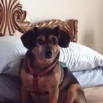 Dawn Bills - @smokfan14 - Instagram