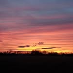 Dawn Bingham - @dawnbingham05 - Instagram