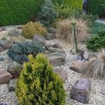 Dawn Bird - @dawn.bird.148 - Instagram