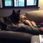 Dawn Bird - @dawn_bird57 - Instagram