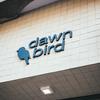 dawnbird.coffee - @dawnbird.coffee - TikTok