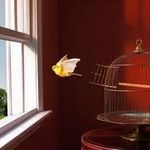 𝓢𝓲𝓵𝓮𝓷𝓽 𝓡𝓮𝓹𝓮𝓷𝓽𝓮𝓻 - @dawn.bird___ - Instagram