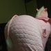 Dawn Blackwell - Facebook