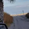 Dawn Blackwell - @dawn.blackwell3 - TikTok