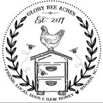 Dawn Blasingame - @glorybeeacres - Instagram