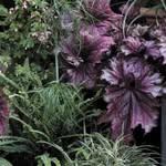 Dawn Boden - @boden_dawn - Instagram
