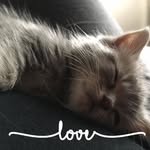 Dawn Bolin - @bolin6649 - Instagram