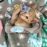 Dawn Bolin - @dybolin - Instagram
