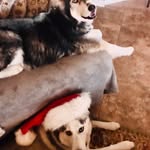 Dawn Bolin - @bolin.dawn - Instagram