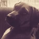 Dawn Williams-Bolin - @williamsbolin - Instagram