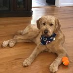 Dawn Booker - @dbook3r - Instagram