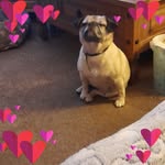 Dawn Booth - @dawnlinda20 - Instagram