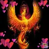 dawnbooth955 - @dawnbooth955 - TikTok