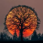 Dawn Bower - @dbower68 - Instagram
