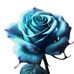 Dawn Boysen - Facebook