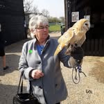 Dawn Bradbury - @dawngran - Instagram