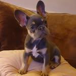 ☆Dawn_Bradbury☆ - @dawnmbradbury - Instagram