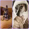 DAWN M BRADBURY - @dawn.m.bradbury - TikTok