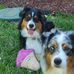 Dawn Brannon - Facebook