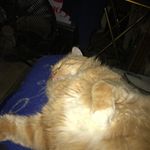 Dawn - @dawn_brasher - Instagram