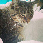 Dawn Brewster - @dawnb573 - Instagram